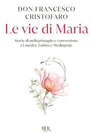 Vie Di Maria. Storie Di Pellegrinaggi E Conversioni A Lourdes, Medjugorje E Fatima (le) fronte