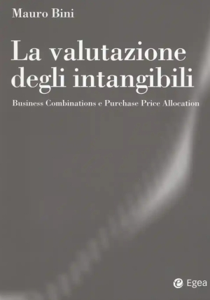 Valutazione Degli Intangibili fronte