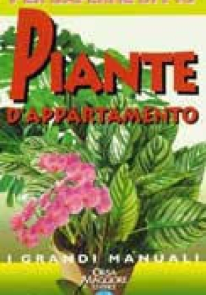 Piante D'appartamento fronte