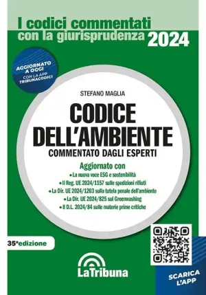 Codice Dell'ambiente fronte