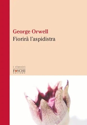 Fiorira' L'aspidistra fronte