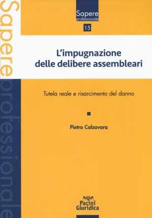 Impugnazione Delibere Assemble fronte