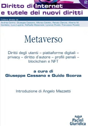 Metaverso fronte