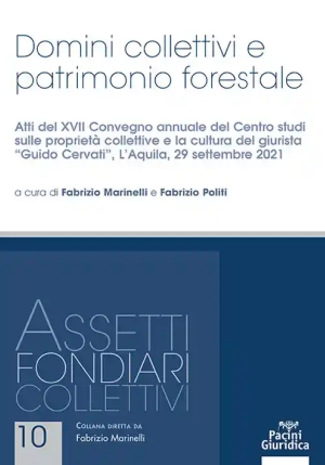 Domini Collettivi Patrimonio Forestale fronte