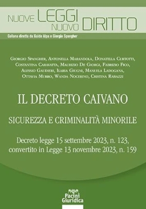 Decreto Caivano Sicur. Criminalita' Mino fronte