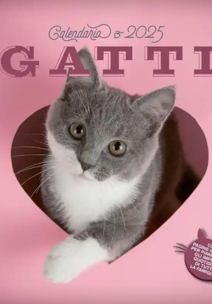 Gatti. Calendario 2025 fronte