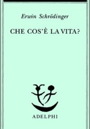 Che Cose La Vita? fronte