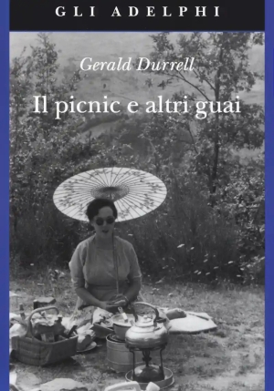 Il Picnic E Altri Guai fronte