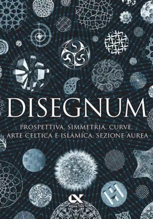 Disegnum fronte