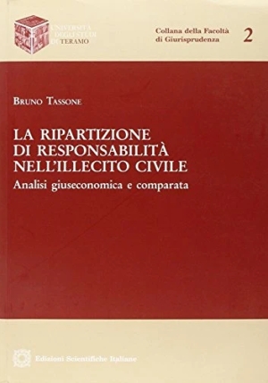 Ripartizione Di Responsabilita fronte