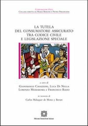 Tutela (la) Del Consumatore fronte