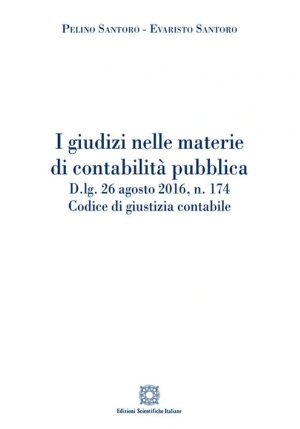 Giudizi Nelle Materie Di Conta fronte