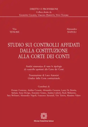 Studio Sui Controlli Affidati fronte