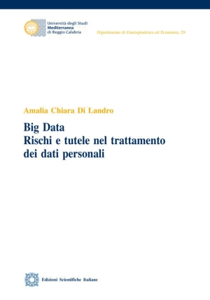 Big Data. Rischi E Tutele Nel fronte