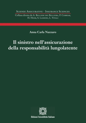 Sinistro Nell'assicurazione fronte