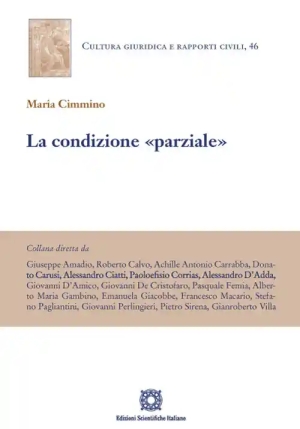 Condizione Parziale fronte