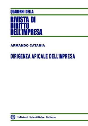 Dirigenza Apicale Impresa fronte