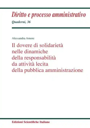 Dovere Solidarieta Dinamiche fronte