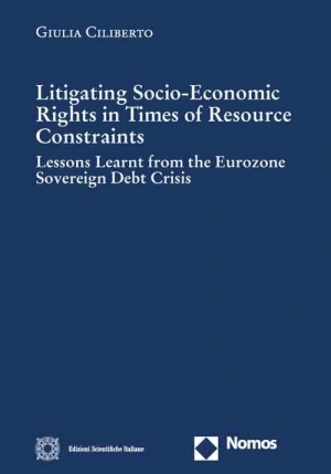 Litigating Socio-economic fronte