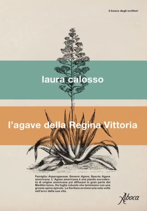 Agave Della Regina Vittoria (l') fronte