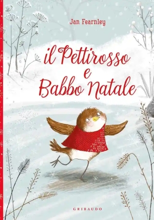 Pettirosso E Babbo Natale fronte