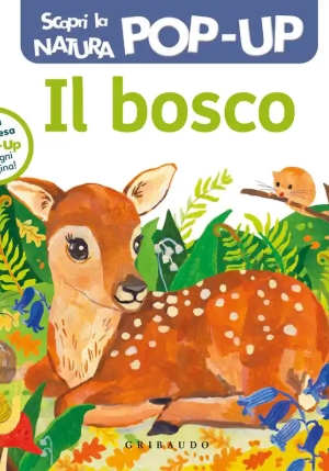 Bosco. Scopri La Natura Pop Up. Ediz. A Colori (il) fronte