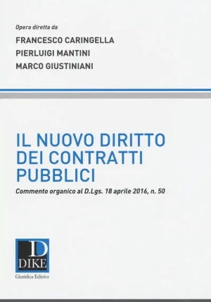 Nuovo Diritto Dei Contratti Pubblici fronte