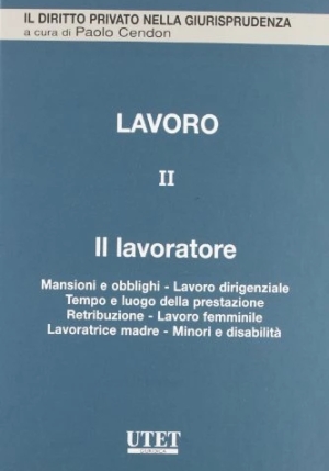 Lavoro - Il Lavoratore Vol. Ii fronte