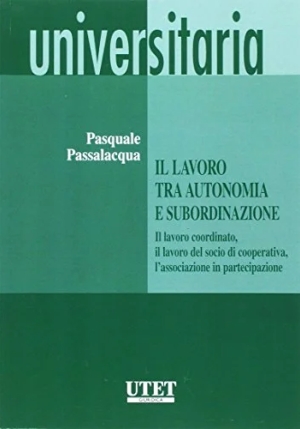 Lavoro Tra Autonomia E Subordi fronte