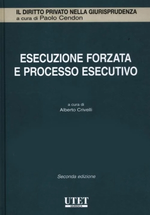 Esecuzione Forzata E Processo fronte