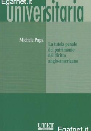 Tutela Penale Patrimonio Dir.anglo-amer. fronte