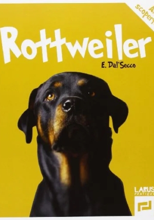 Rottweiler fronte