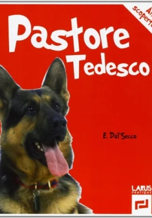 Pastore Tedesco fronte