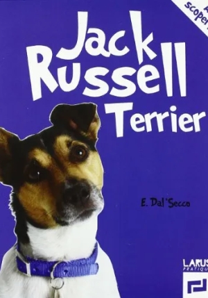 Jack Russell Terrier fronte