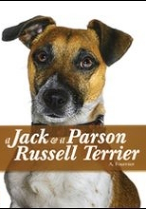 Il Jack Russel E Il Parson Terrier fronte