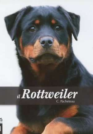 Il Rottveiler fronte