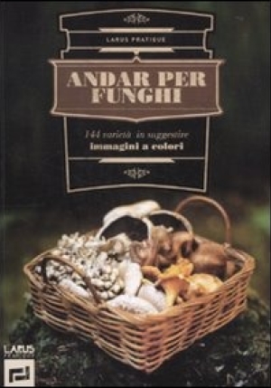 Andar Per Funghi fronte