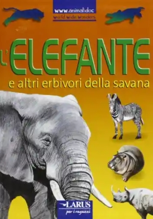 L'elefante fronte