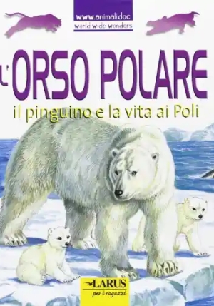 L'orso Polare fronte