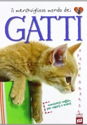 I Gatti fronte