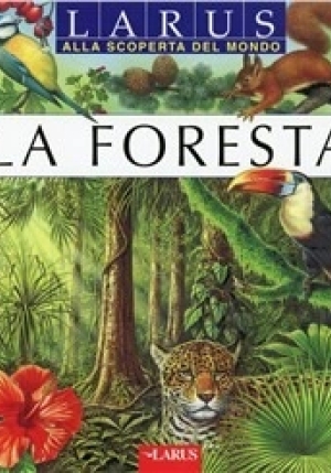 La Foresta fronte