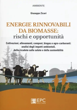 Energie Rinnovabili Da Biomasse: Rischi E Opportunit fronte