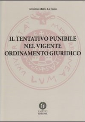 Il Tentativo Punibile Nel Vigente Ordinamento Giuridico fronte