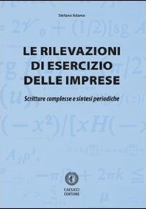 Le Rilevazioni Di Esercizio Delle Imprese fronte