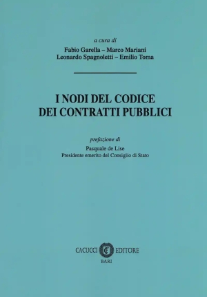 I Nodi Del Codice Dei Contratti Pubblici fronte