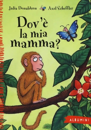 Dov'? La Mia Mamma? Ediz. A Colori fronte