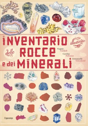 Inventario Illustrato Dei Minerali. Ediz. A Colori fronte