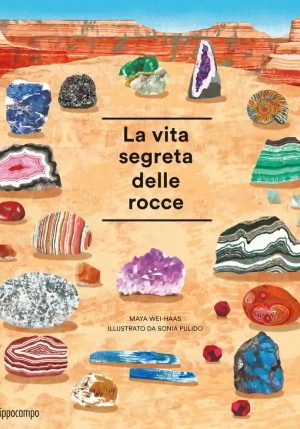 Vita Segreta Delle Rocce. Album Scoperte (la) fronte