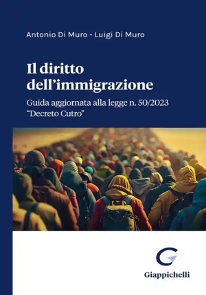 Il Diritto Dell'immigrazione fronte