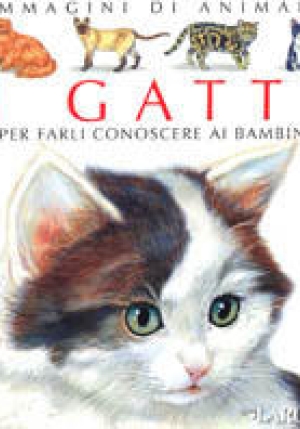 I Gatti fronte